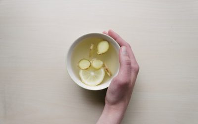 The Bone Broth Bounty