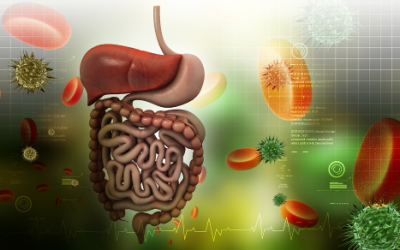 5 Root Causes of Poor Digestion