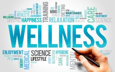 The Transformative Potential of Holistic Nutrition in Workplace Wellness Programs