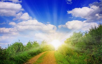 The Sunshine Vitamin: Gut Health’s Secret Weapon