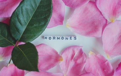 Hormones & Digestion: 5 Ways to Restore Harmony