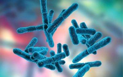 Probiotics and Gut Health: All You Need to Know