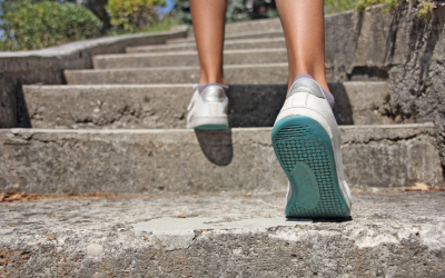 How to Slow and Support the Aging Process